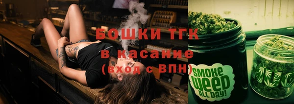 твердый Медногорск