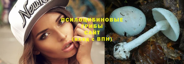 СК Мегион