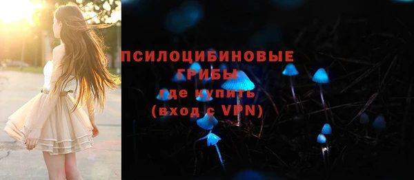 твердый Медногорск