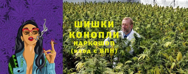 СК Мегион