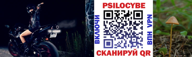 Галлюциногенные грибы Psilocybe  Купить закладки  Сурск 